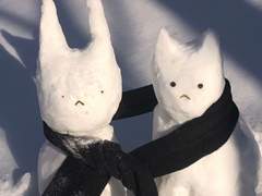 K-고딩의 고등학교 적응기