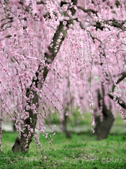 화산귀환 짧은 창작