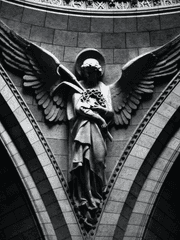 생명의 순리를 거스르다