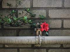 과연 그게 닿을까요?