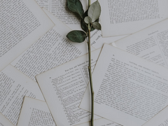 미친 마피아 보스들이 내게 집착한다