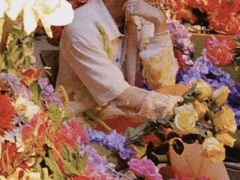 그 꽃집에 발을 들여놓지마세요