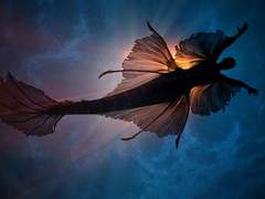 가명일소 3월 비계 백업