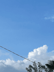 빙글빙글 돌아가는 행복한 주술회전 드림