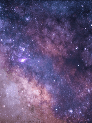 뮤즈에게 바치는 세레나데