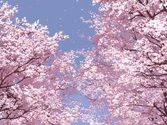 [나미총수/hl] 학교 2022_1화