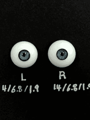 글라스 안구 판매 분