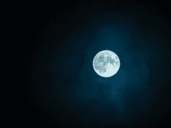 공명지조 프로필