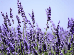 [규잇] 살아보라(完)