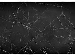 바람이 가져오는 것은?