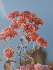 애정하는 너에게