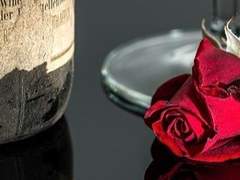 캐더린 / XX / 먼지