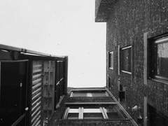 마다코하 단편글 - 곧, 봄이 오는 거지 中