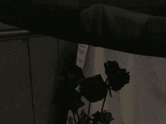 죽고싶다는 생각