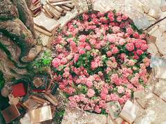 더 체스 : 스페이스 정리본