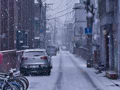 눈이 오는 날 길을 걷다 보면