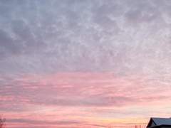 사진] 캐나다 중1이 찍은 요즘 사진