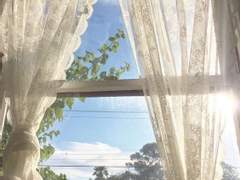 여름아 멈춰줘!