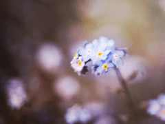 What are ■■■■■ made of?