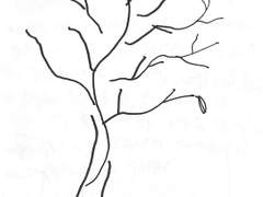 정신병동에서의 5일차