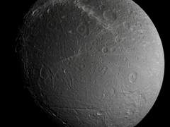 우주에 피는 꽃