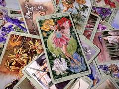 4월 제너럴 타로 리딩 - 2번 해석