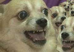 얼탱이 없는 일상