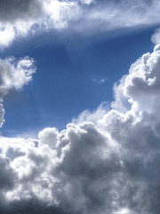 샤를로테 리비두스