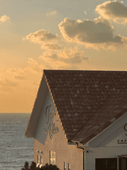 whats in ma phone의 배경화면 시리즈