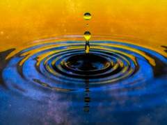 संसार(Saṃsāra)