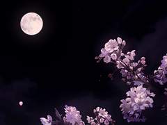 가벼운 로맨스 3