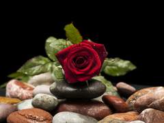 [18-2] 철학이 필요한 시간