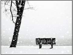 화양연화/류이서