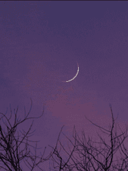 [로판]헬조선 흡혈귀로 살아남기