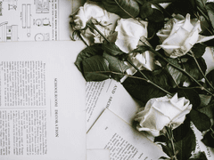 제목 미정 타케른 후회물 01