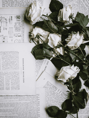 제목 미정 타케른 후회물