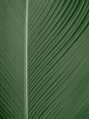 회장님, 엉망진창이라는 단어는 그러라고 쓰는게 아닙니다