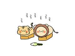 22년 3월 시범경기 야구일기(3월 2-3주차)