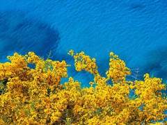 우리는 때때로 여름을 생각할 필요가 있어요