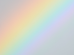 진행한 성평등 강의 목록