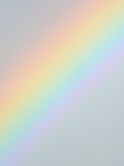 미디어 사회의 여행자를 위해