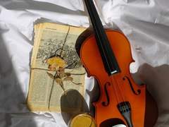 아무래도 늙지 않아야겠다