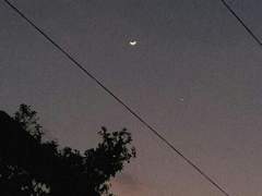 인생이라는 소설