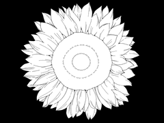 언젠간 돌아올 햇빛을 기다리며.