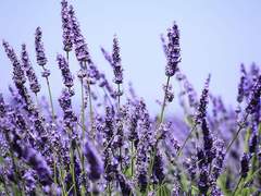 [규잇] 살아보라(2)