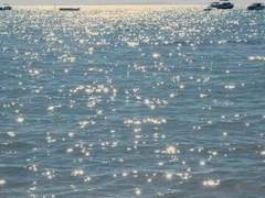 헛된 기대는 또 다시 너여서*