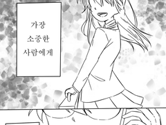 [코란(신란)] 자격