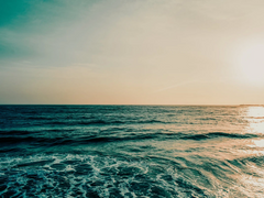 [토니피터] 인어의 목소리