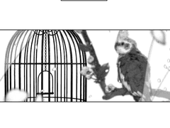 落花難上枝, 낙화난상지 (1)