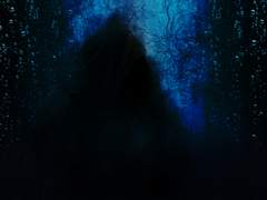 어리석음에 대한 嘉愛